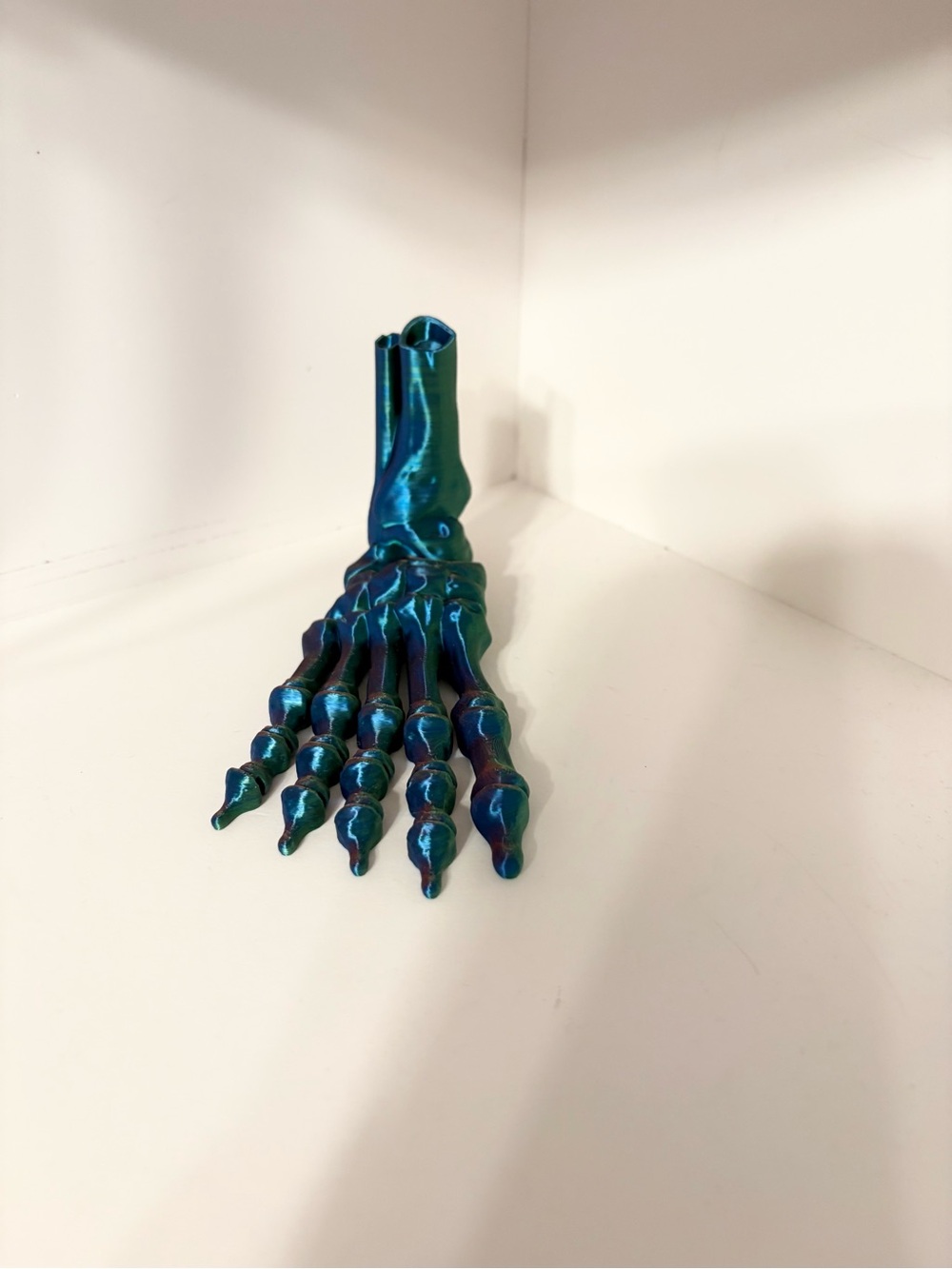 3D Printed Skeleton Foot- Articulated &  anatomically correct  iridescent colors